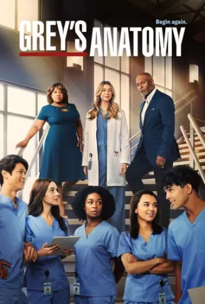 Baixar Greys Anatomy - 19ª Temporada Dublada e Dual Áudio Grátis