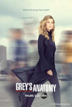 Baixar Greys Anatomy - 18ª Temporada Dublada e Dual Áudio Grátis