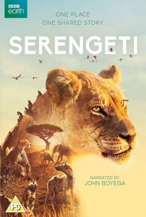 Baixar Serengeti - 2ª Temporada Completa Legendada  Grátis