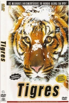 Baixar Tigres / Na Sombra do Tigre Dublado Grátis