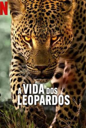 Baixar A Vida dos Leopardos Dublado e Dual Áudio Grátis