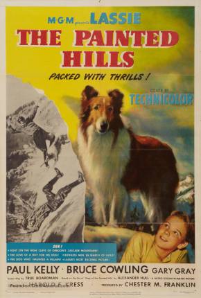 Baixar Lassie - Heróis da Montanha Dublado e Dual Áudio Grátis