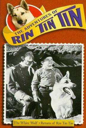 Baixar As Aventuras de Rin Tin Tin - 1ª Temporada Dublada Grátis